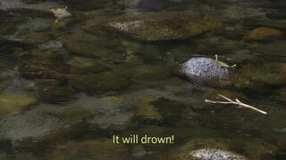 Samsara (2001) - All Nude And Sex Scenes