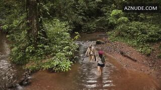 The Law Of The Jungle Part 1