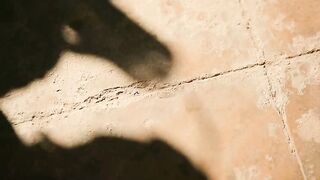 Chiraiya S01E06 Full & Uncut